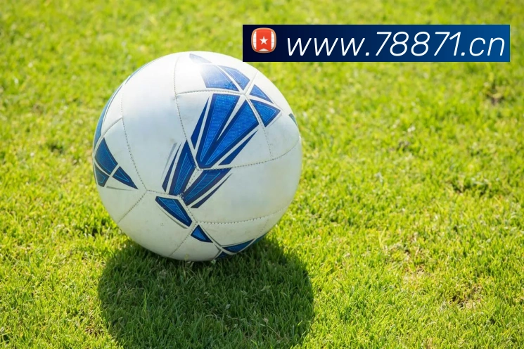 半岛网官网登录入口平台生态图